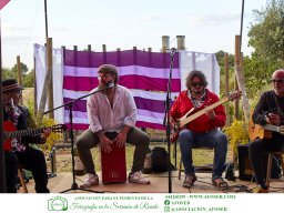 Festival Mar de Tethys 2026 - Bodega Vetas